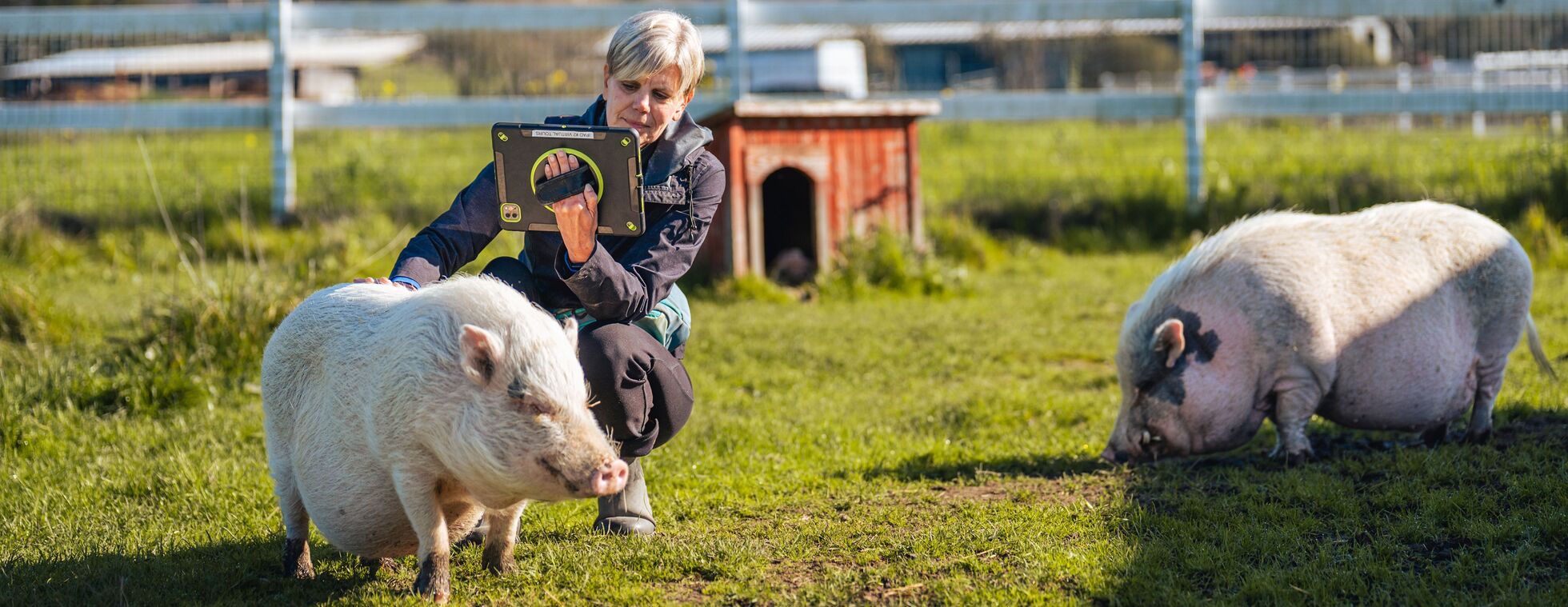 Virtual Class Pet Program Registration - '26-'27 School Year